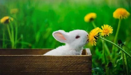 扎马莱克在埃及国家德比中逆袭取胜，扎拉马克